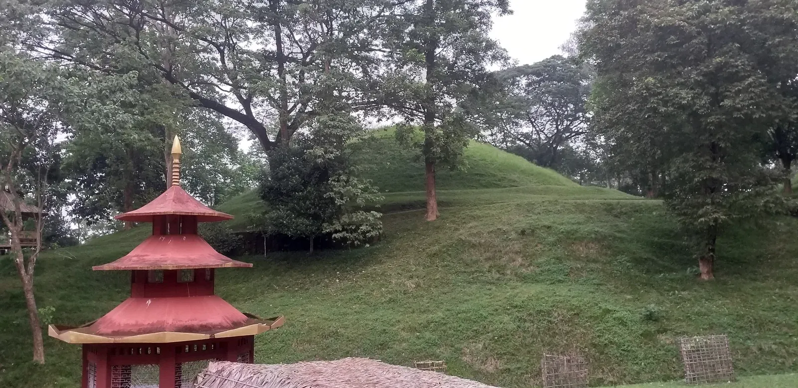 Grass-covered burial mounds of the Charaideo moidams rising among mature trees, with a small red pagoda-style pavilion in the foreground