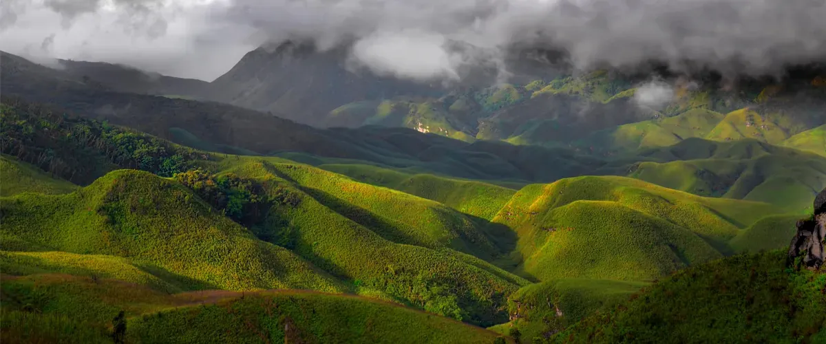 The smooth, mounded green grasslands of Dzükou Valley rolling toward dark ridgelines under low cloud, patches of sunlight moving across the slopes