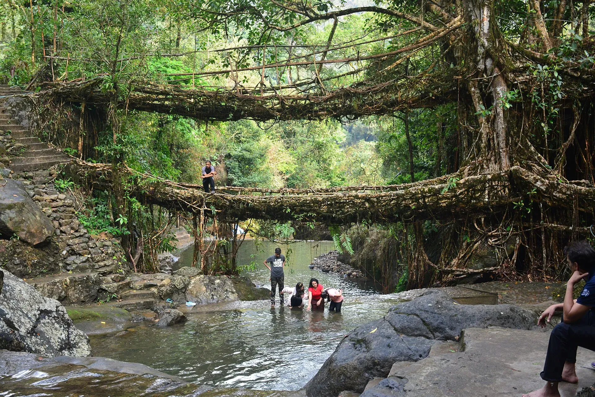 Double-decker living root bridge near Nongriat — two tiers of intertwined rubber-tree roots spanning a rocky stream where visitors wade below