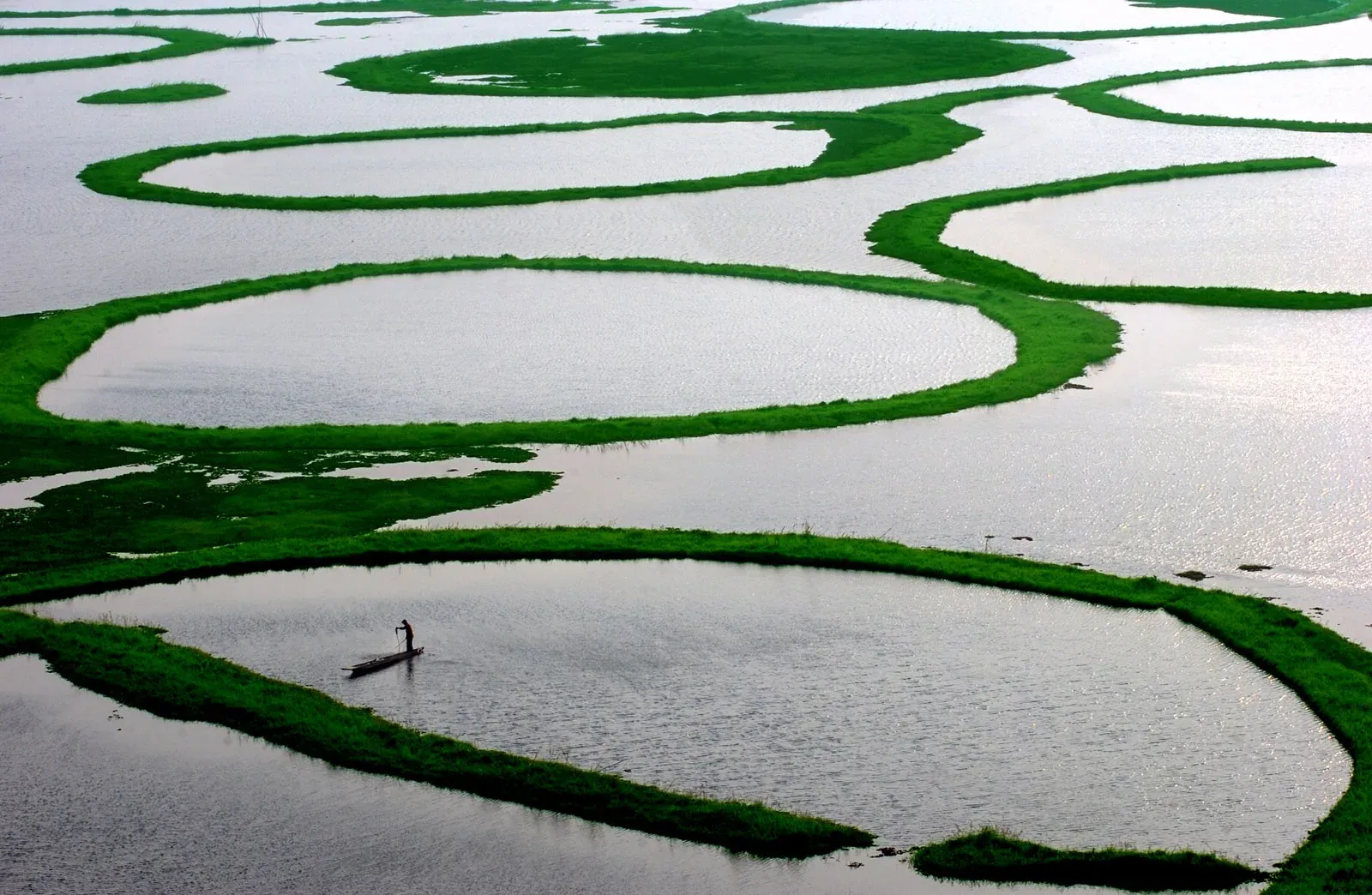 Circular rings of green phumdi vegetation on the silver water of Loktak Lake, a lone fisher poling a slender boat inside one of the rings