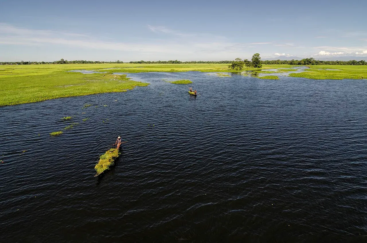 Wide wetland channel at Majuli under a clear sky, two boatmen poling low boats loaded with cut grass between green banks