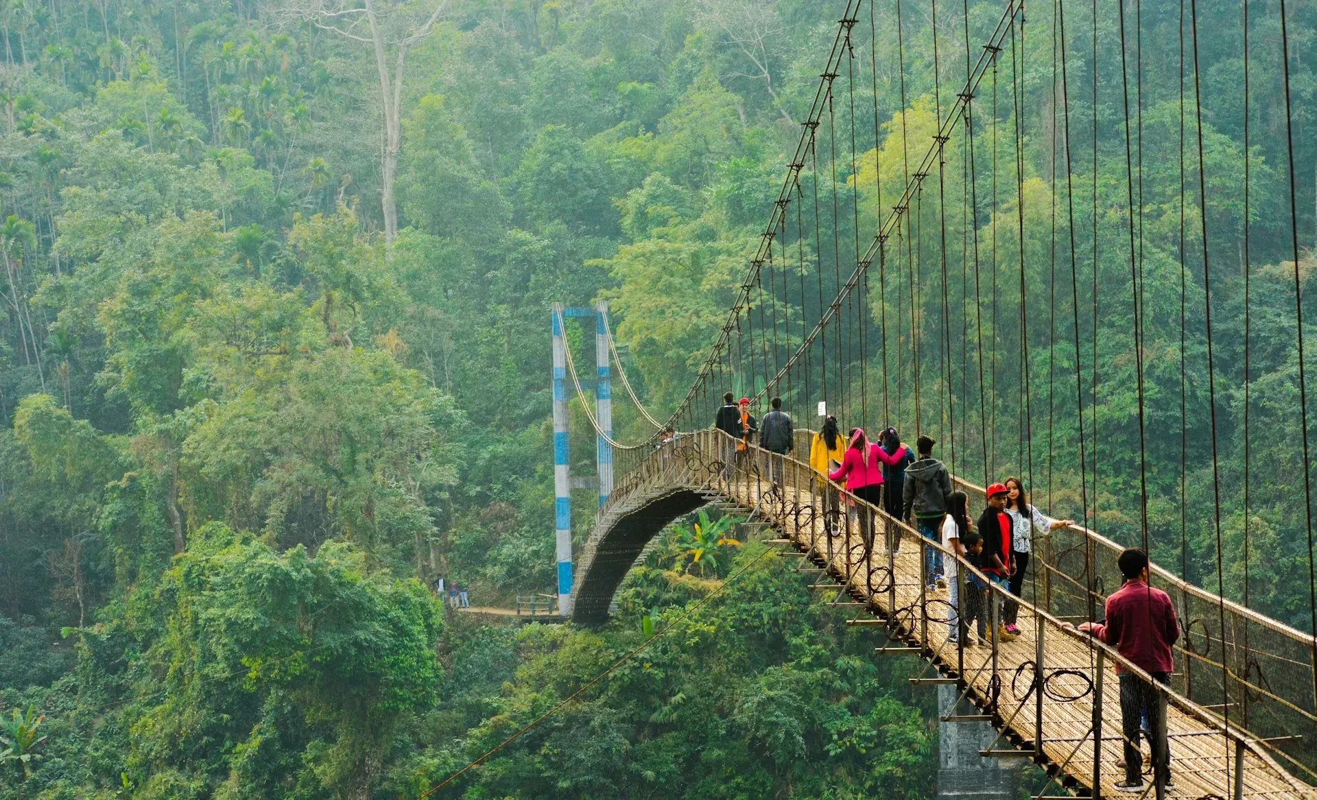 Visitors crossing a long suspension footbridge stretched high above a mist-covered forest gorge in Meghalaya