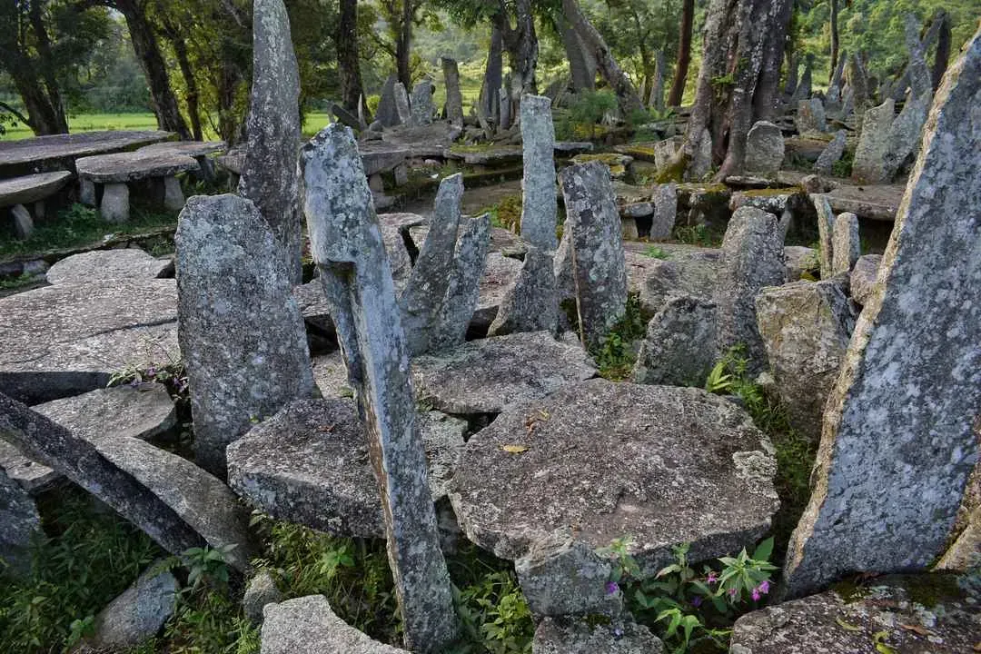 Weathered standing stones and flat table-stones crowded together under old trees at the Nartiang megalithic site in the Jaintia Hills