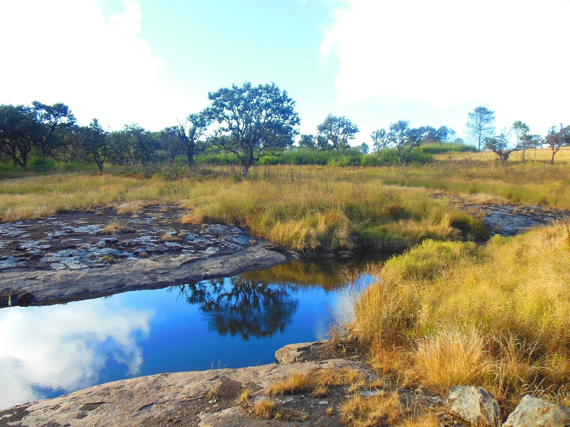 A still pool reflecting sky and trees amid rock slabs and golden grassland on Phawngpui, scattered trees rising along the plateau under white clouds