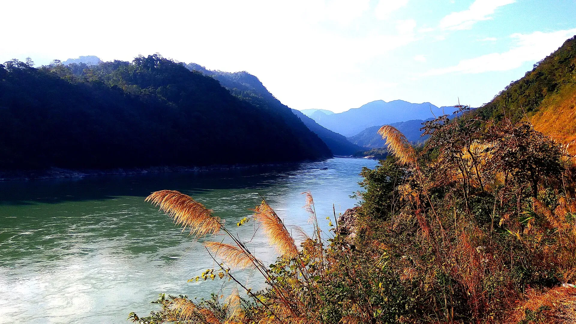 The broad green-blue Siang River curving between forested hills, with golden kans grass catching the light on the near bank
