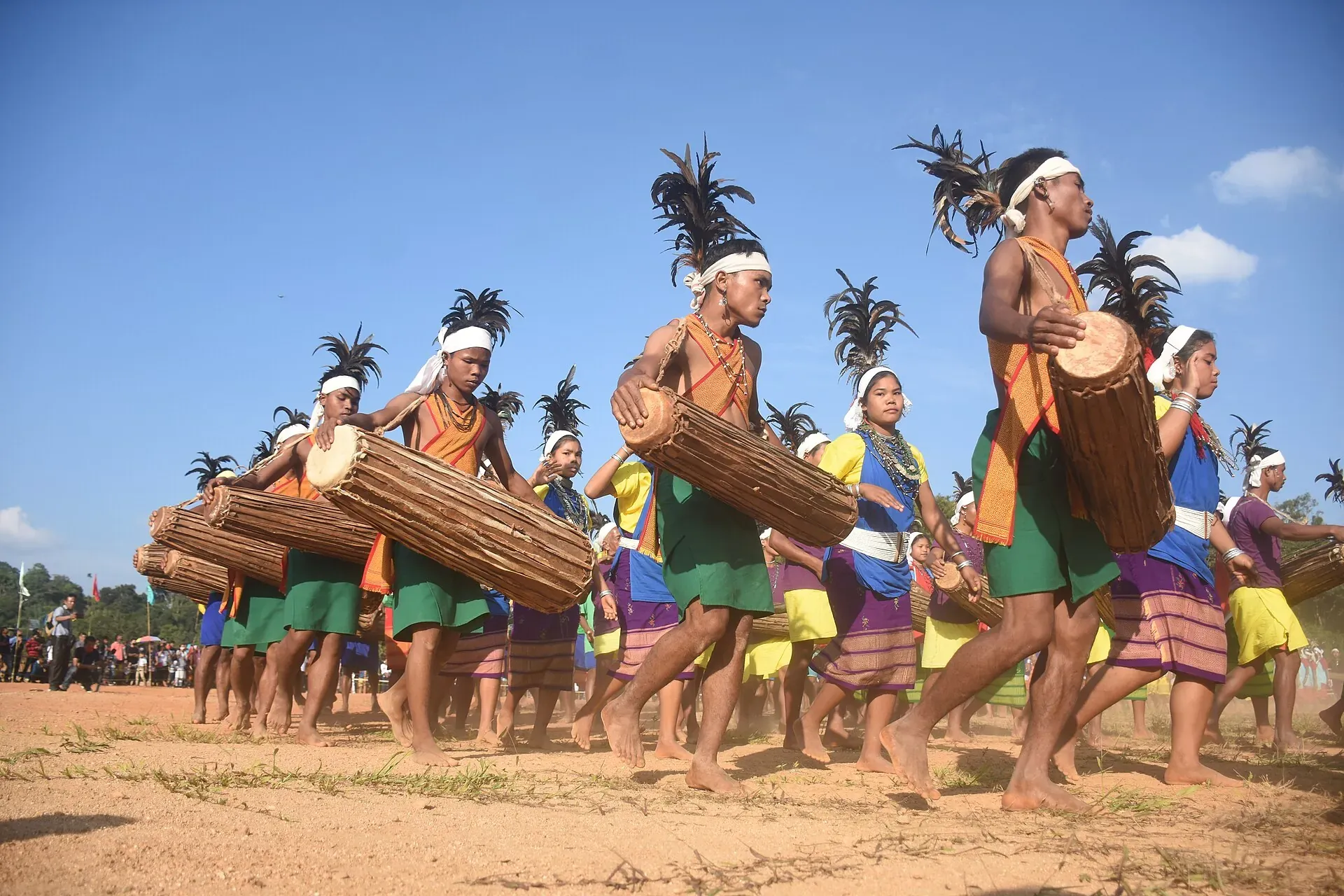 Lines of Garo drummers in feathered headdresses beating long log drums as dancers in yellow, blue and purple move across an open ground at Wangala