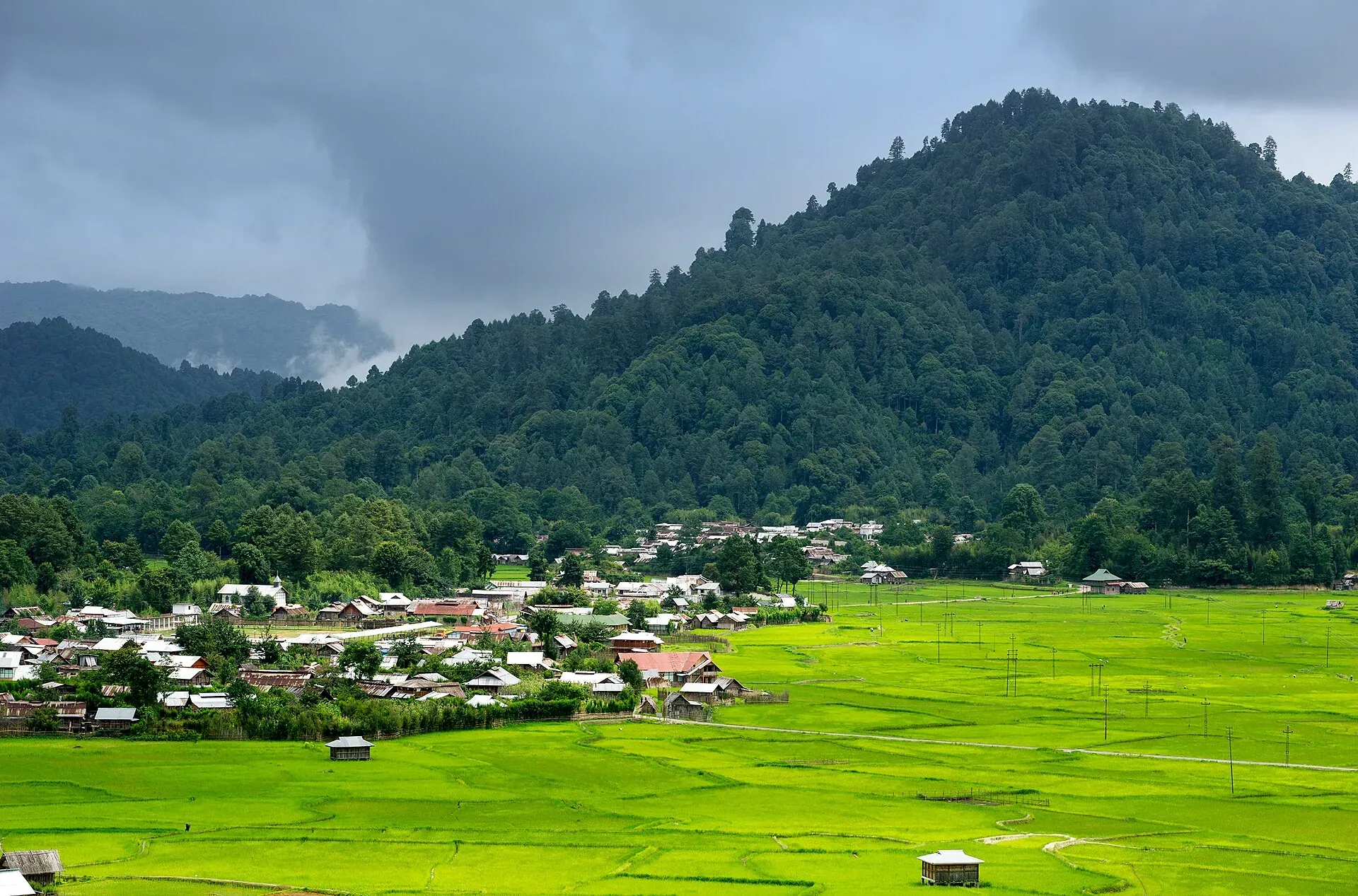 Bright green paddy fields spreading across Ziro Valley, village houses clustered at their edge below a dark forested hill and monsoon clouds